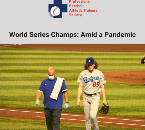 world series champs